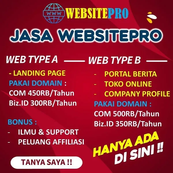 Jasa Pembuatan Website Murah Profesional