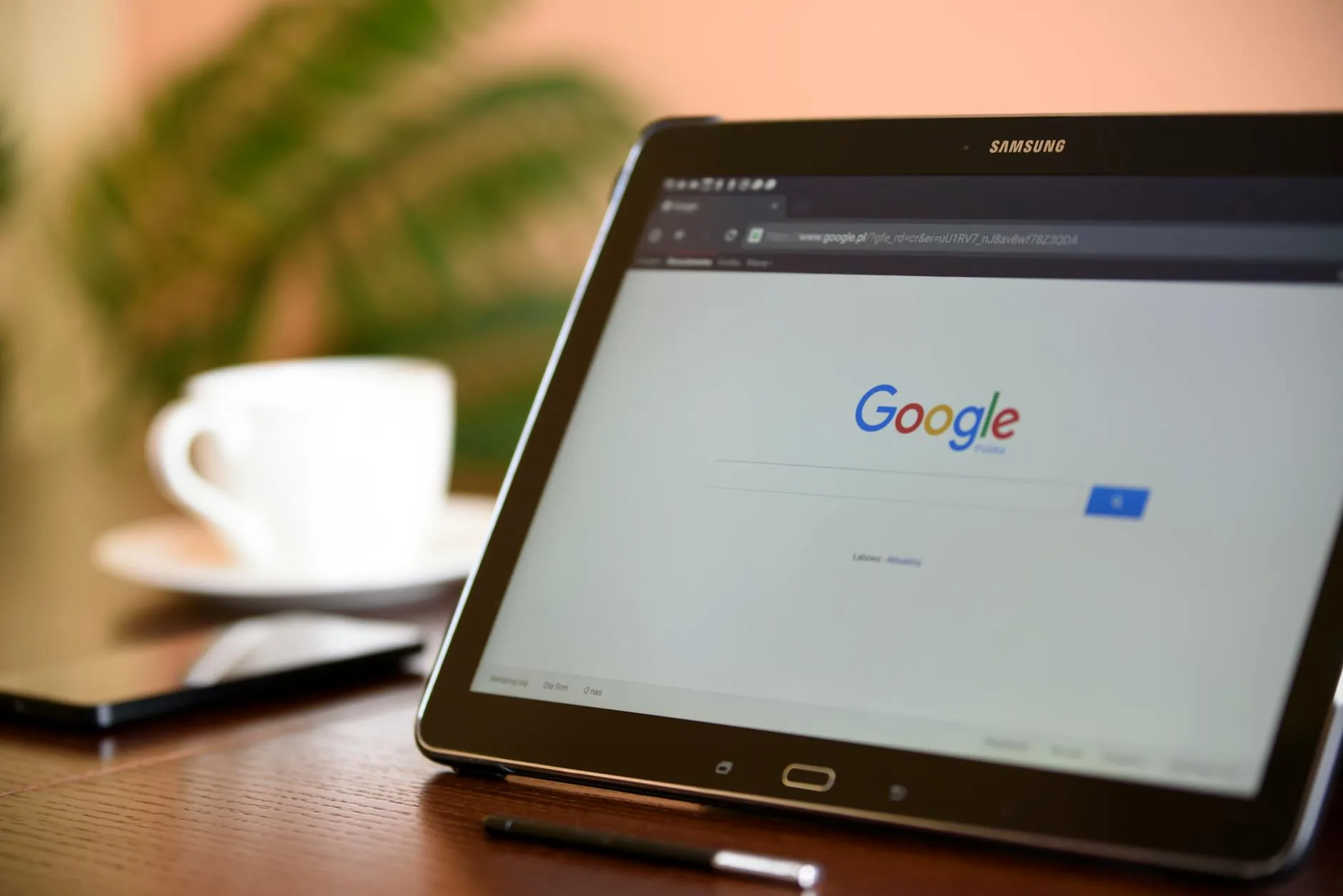 pexels photo 106341 Kursus Seo Online Murah